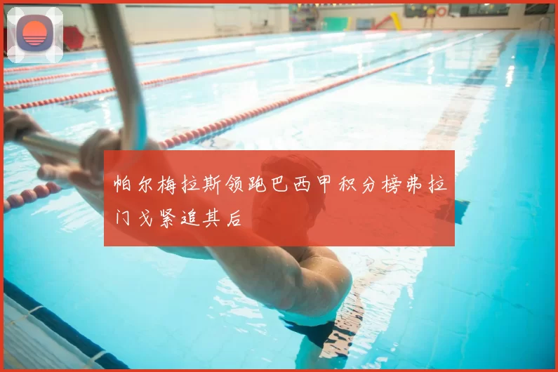 帕尔梅拉斯领跑巴西甲积分榜弗拉门戈紧追其后