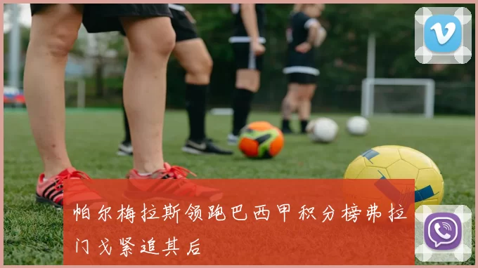 帕尔梅拉斯领跑巴西甲积分榜弗拉门戈紧追其后