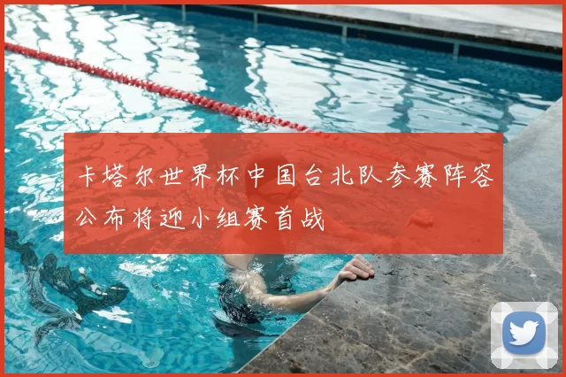 卡塔尔世界杯中国台北队参赛阵容公布将迎小组赛首战