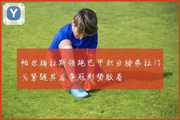 帕尔梅拉斯领跑巴甲积分榜弗拉门戈紧随其后争冠形势胶着