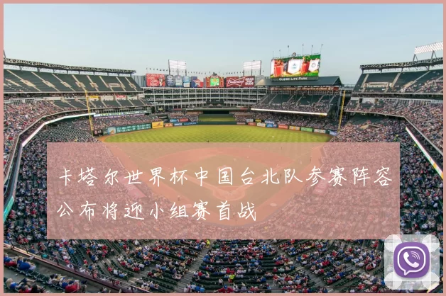 卡塔尔世界杯中国台北队参赛阵容公布将迎小组赛首战