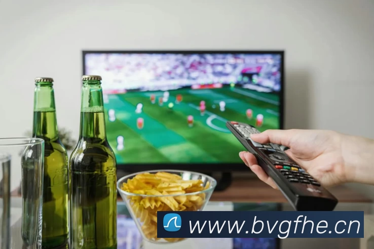 半岛在线体育网平台生态图